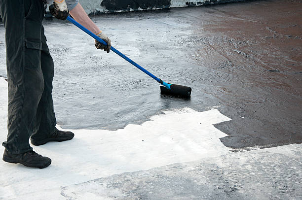 Best Concrete Sidewalk Installation in Carrizo Hill, TX